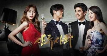 免费上流社会在线观看,在线观看的奢华盛宴  第2张